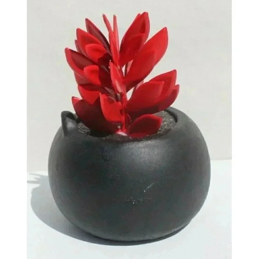 New Scary Black Cat Succulent Planter Small Plant Pot Home Garden Decor